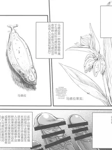 [Chinese][Manga](C102) [革命政府広報室 (よろず)] 男根のエスノグラフィ ─マラコヴィアの性と排泄─ (よろず) [中国翻訳]