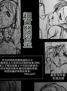 [Chinese][Manga](C52) [STUDIO VANGUARD (TWILIGHT)] DARKSIDE SPECIAL 3 [中国翻訳]