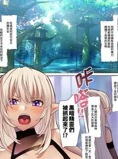 [Chinese][Manga][聖華快楽書店 (瑠璃ららこ、raru、Ai Kisaragi)] 隷属女王 ―ドスケベボディのダークエルフ女王が悪徳貴族に完全征服されるまで [中国翻訳]