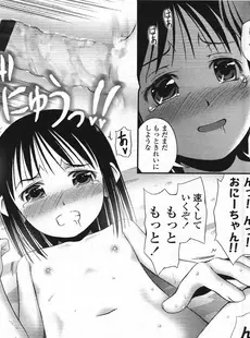 [Japanese][Manga](成年コミック) [雑誌] COMIC LO 2009年04月号(Vol.61)