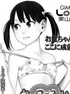 [Japanese][Manga](成年コミック) [雑誌] COMIC LO 2013年06月号(vol.111)