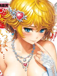 [ArtistCG]  [yande] Comic Kairakuten Covers