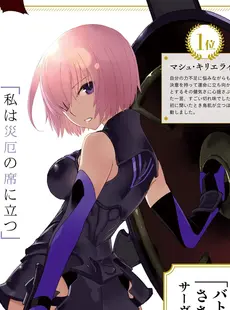 [ArtistCG]  [yande] Fate Grand Order Chaldea Ace Vol. 2