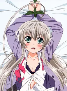 [ArtistCG]  [yande] Haiyore! Nyaruko-san Visual Collection