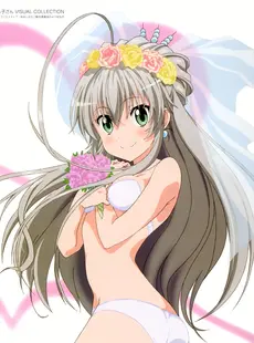 [ArtistCG]  [yande] Haiyore! Nyaruko-san Visual Collection