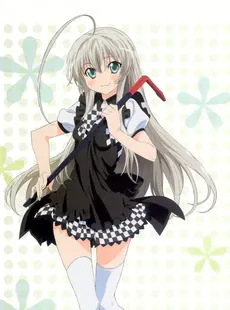 [ArtistCG]  [yande] Haiyore! Nyaruko-san Visual Collection