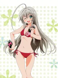 [ArtistCG]  [yande] Haiyore! Nyaruko-san Visual Collection