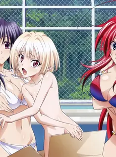 [ArtistCG]  [yande] High School DxD New Visual Collection Vol.2