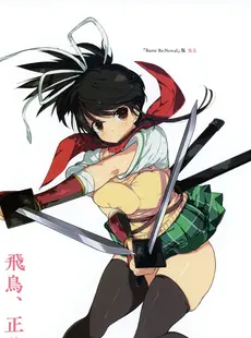 [ArtistCG]  [yande] Senran Kagura Burst Re Newal Official Illustration Collection