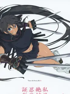 [ArtistCG]  [yande] Senran Kagura Burst Re Newal Official Illustration Collection