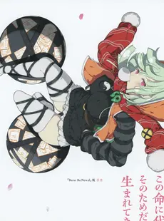 [ArtistCG]  [yande] Senran Kagura Burst Re Newal Official Illustration Collection