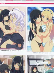 [ArtistCG]  [yande] Senran Kagura Burst Re Newal Official Illustration Collection