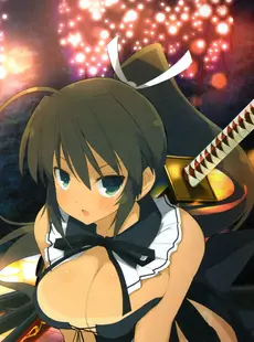 [ArtistCG]  [yande] Senran Kagura New Wave Official Visual Collection