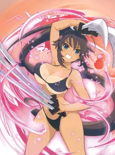 [ArtistCG]  [yande] Senran Kagura New Wave Official Visual Collection