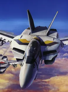 [ArtistCG]  [yande] Tenjin Hidetaka - Macross Valkyries