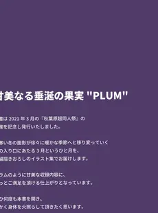 [ArtistCG]  [yande] 秋葉原 超同人祭開催記念誌 Melonbooks Girls Collection Plum[Doujinshi]